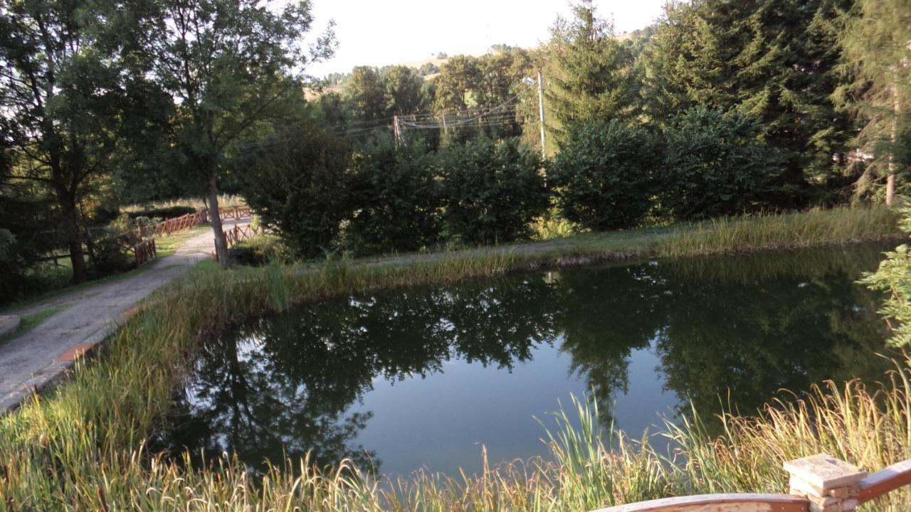 Bacowka Noclegi Sierpnica Exteriör bild